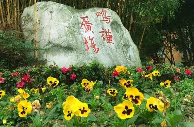 四川省遂寧中學(xué)外國語實驗學(xué)校校園風(fēng)采