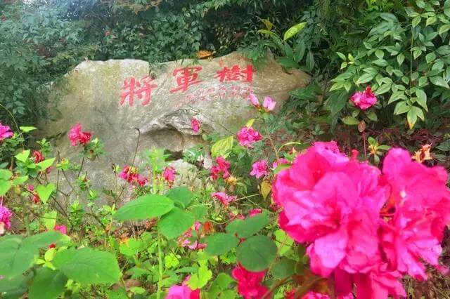 四川省遂寧中學(xué)外國(guó)語實(shí)驗(yàn)學(xué)校校園風(fēng)采