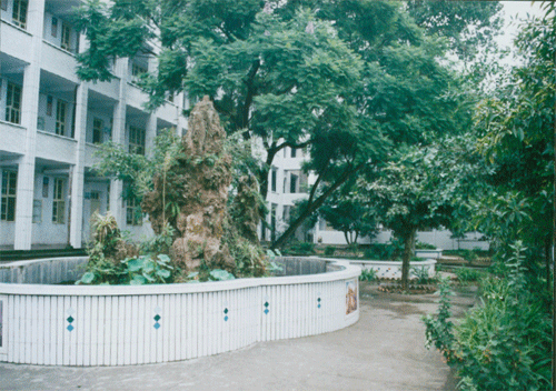 內(nèi)江十三中地址在哪？