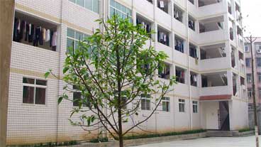 威遠(yuǎn)自強(qiáng)中學(xué)是民辦還是公辦學(xué)校？