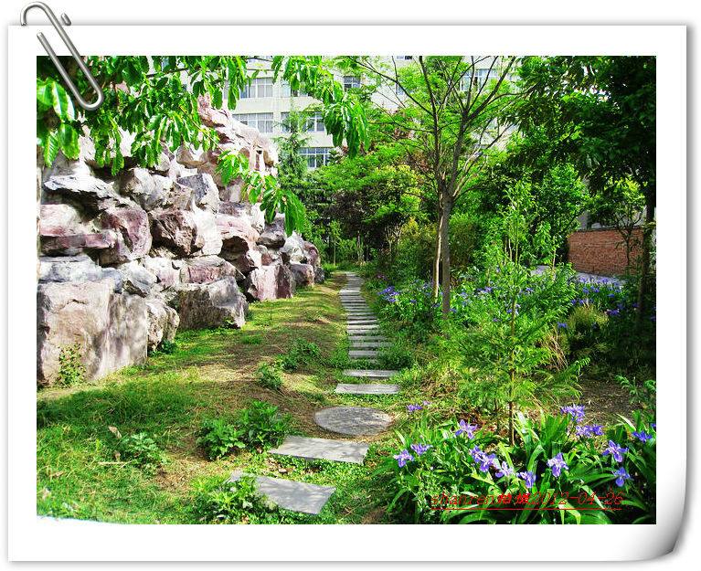 甘洛中學(xué)地址在哪里？