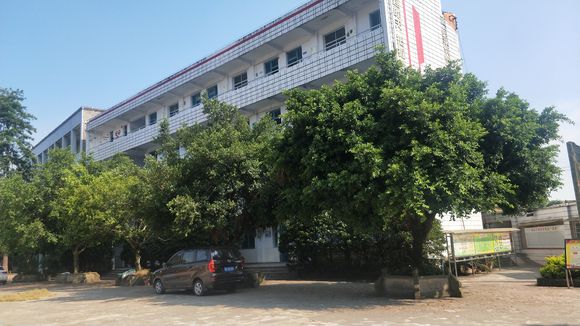 隆昌八中在哪里？