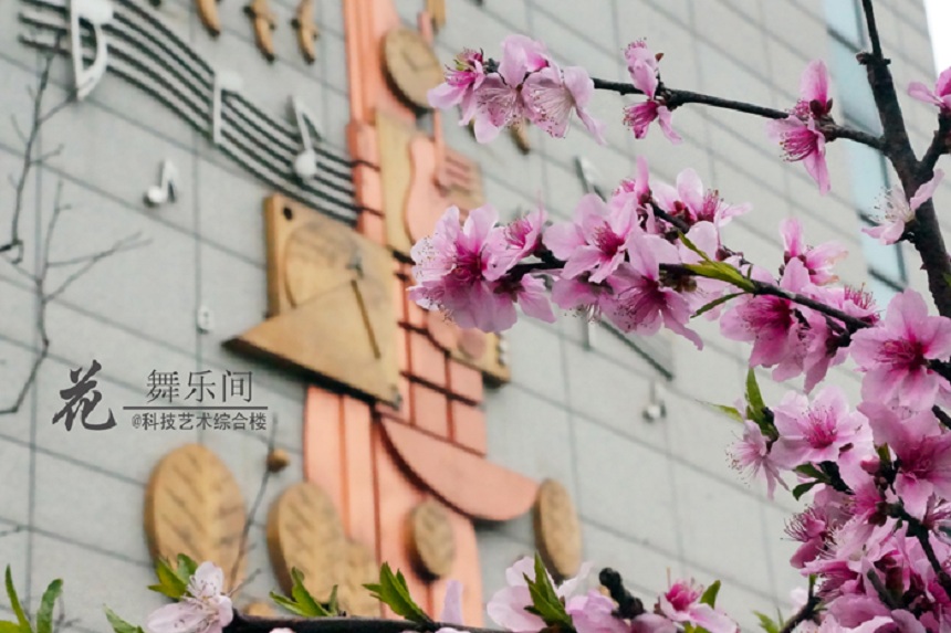 石室天府中學(xué)環(huán)境好不好、怎么樣？