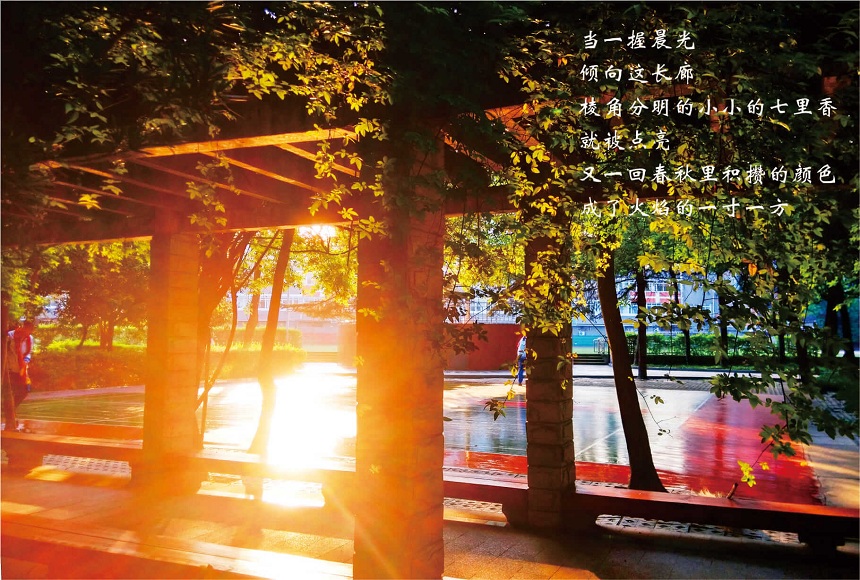 成都七中高新校區(qū)2019年中考分?jǐn)?shù)線是多少？