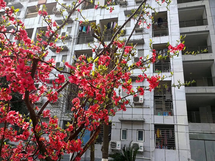 綿陽南山中學是一所公辦的高中吧？