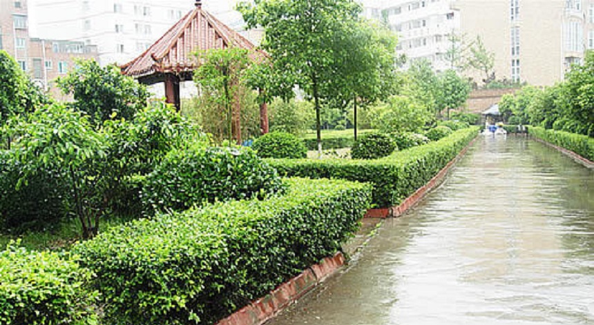 華興中學(xué)環(huán)境好不好？