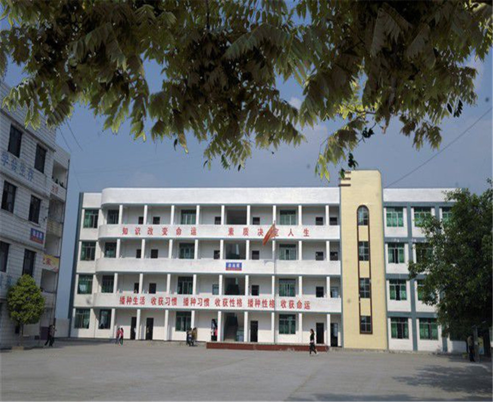 臨巴中學(xué)的詳細(xì)地址在什么地方？