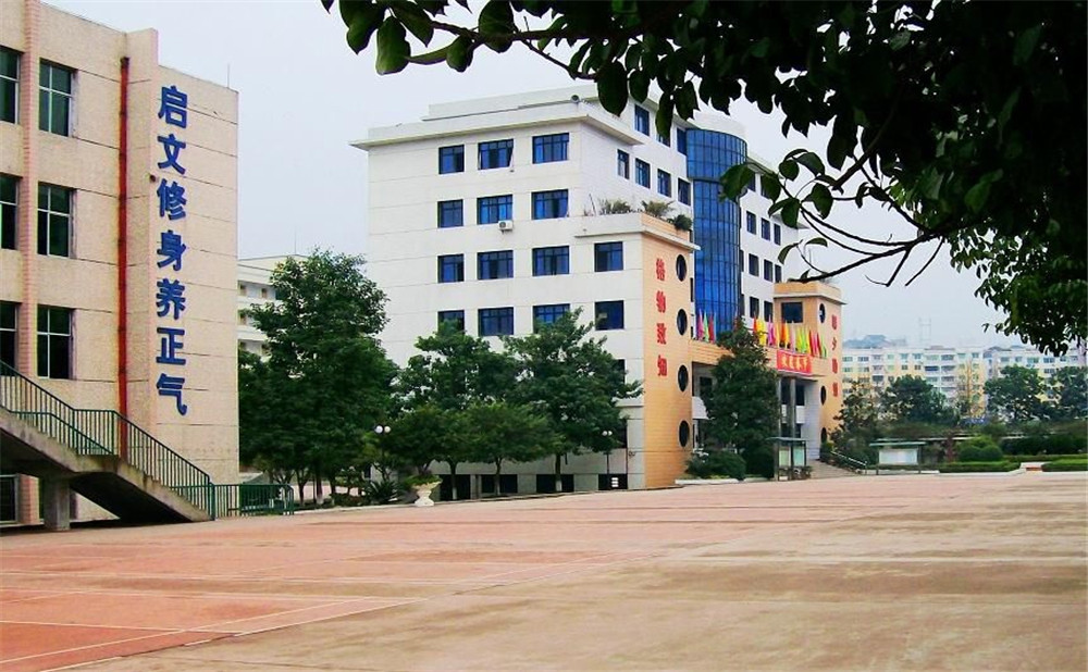 四川省鄰水中學(xué)2020年的招生計(jì)劃公布了嗎？