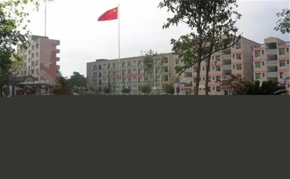 內(nèi)江市第十一中學(xué)學(xué)校詳細(xì)地址在什么地方？