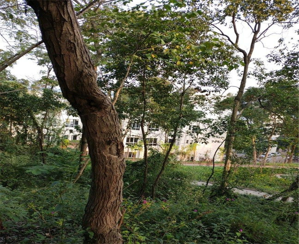蒲家中學的詳細地址在什么地方？