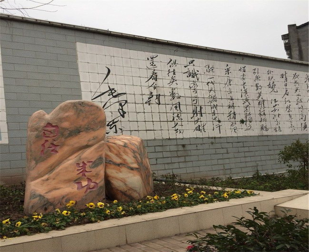 蒲家中學(xué)2020年招生計(jì)劃在哪兒看？