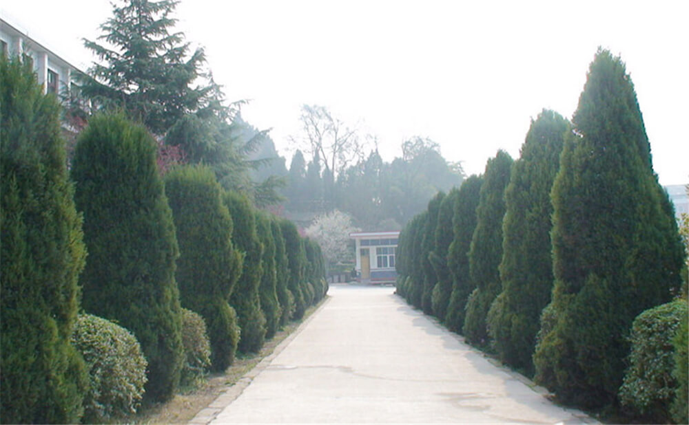 建興中學學校環(huán)境怎么樣？