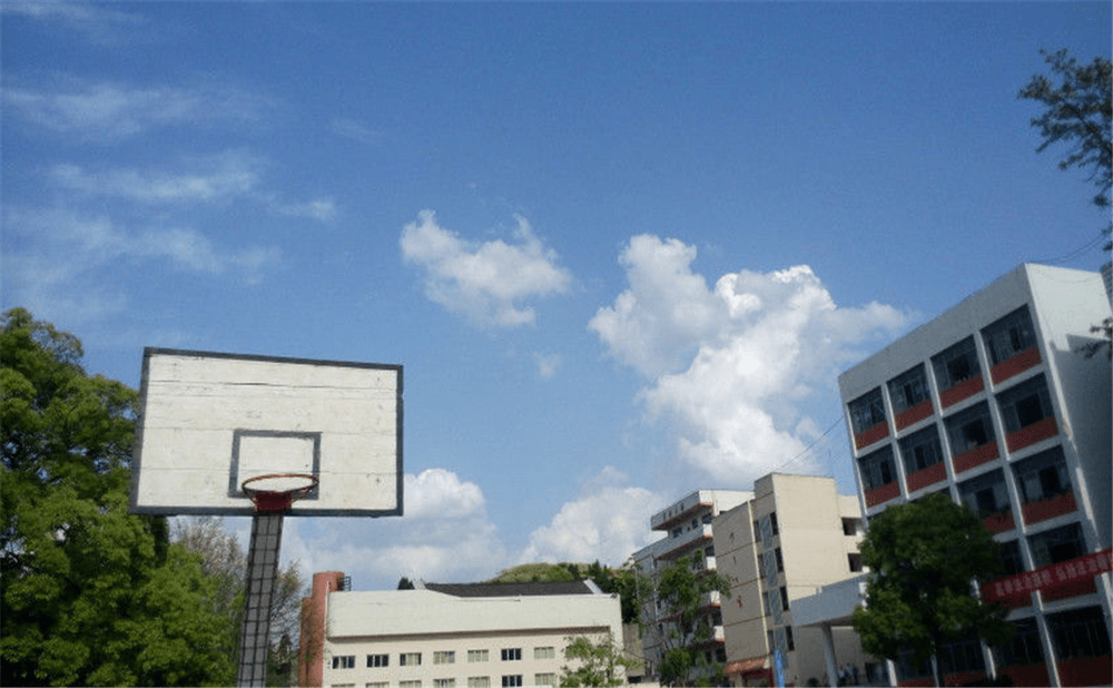 蓬安二中2020年招生計(jì)劃公布了嗎？