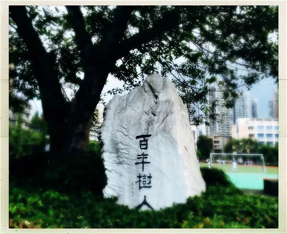四川大學附屬中學2020年的錄取分數(shù)線是多少？