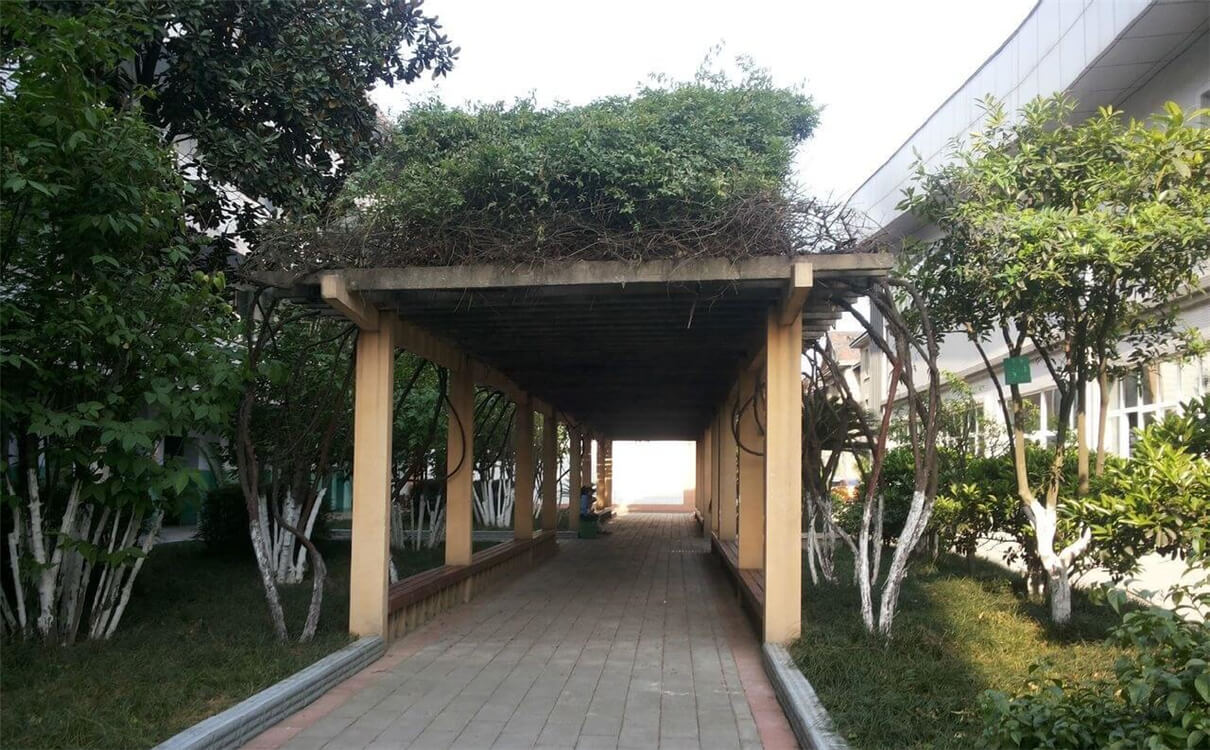 通錦中學(xué)的高中怎么樣？
