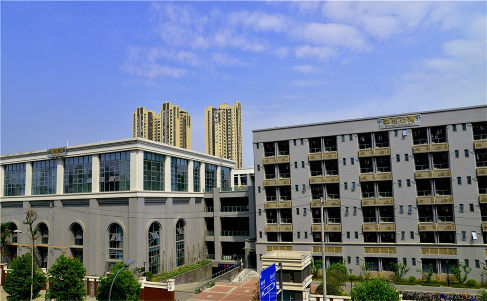成都市第四十九中學(xué)去年的錄取分?jǐn)?shù)是多少？