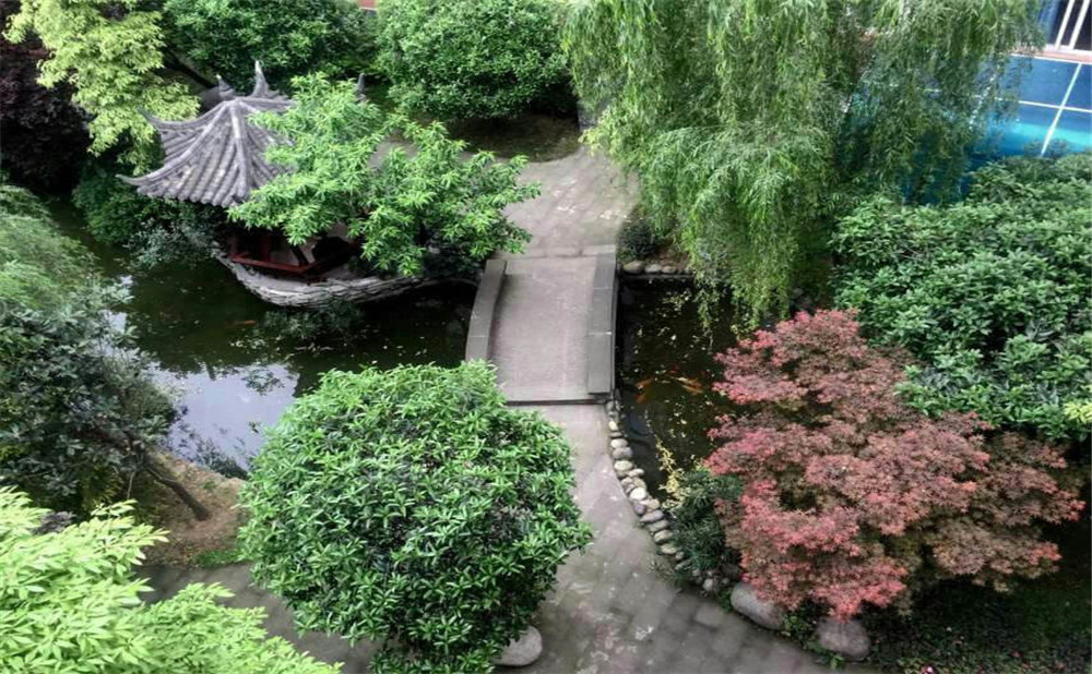 成都八中近三年的錄取分數(shù)是多少？
