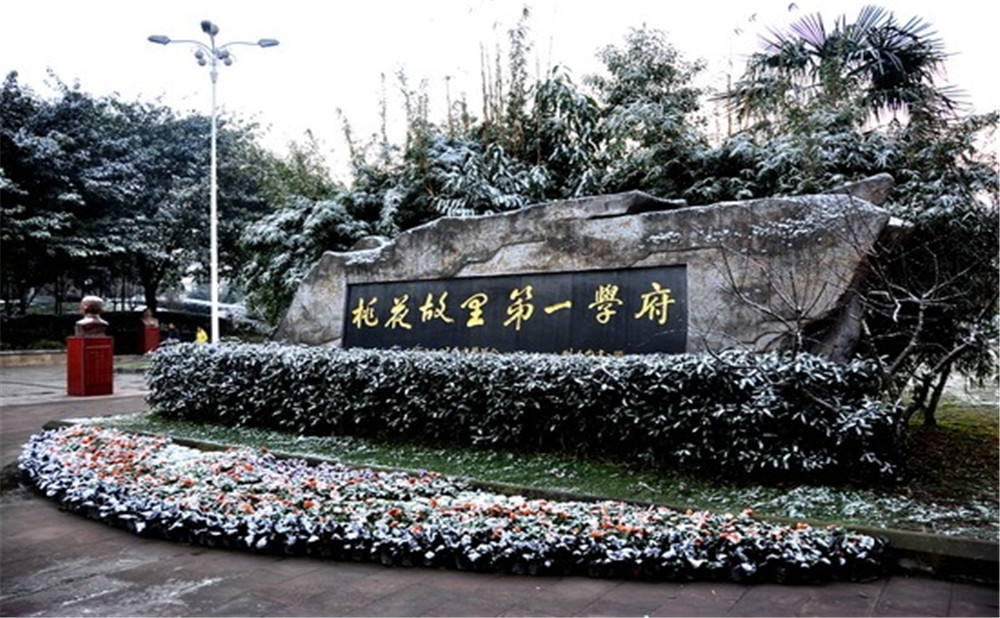 2020年成都市龍泉中學(xué)計劃招多少人？