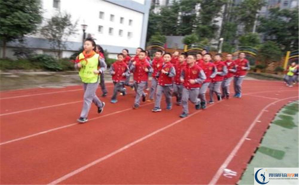 2020成都市泡桐樹中學(xué)的升學(xué)率有多少？