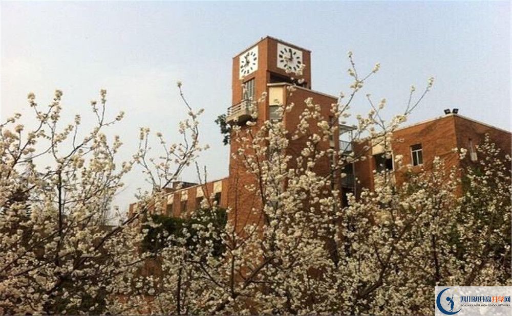 成都華西中學(xué)的學(xué)費(fèi)大概多少？