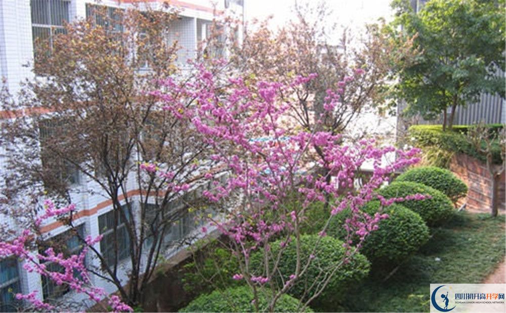 三星中學(xué)初升高的分?jǐn)?shù)線是多少？