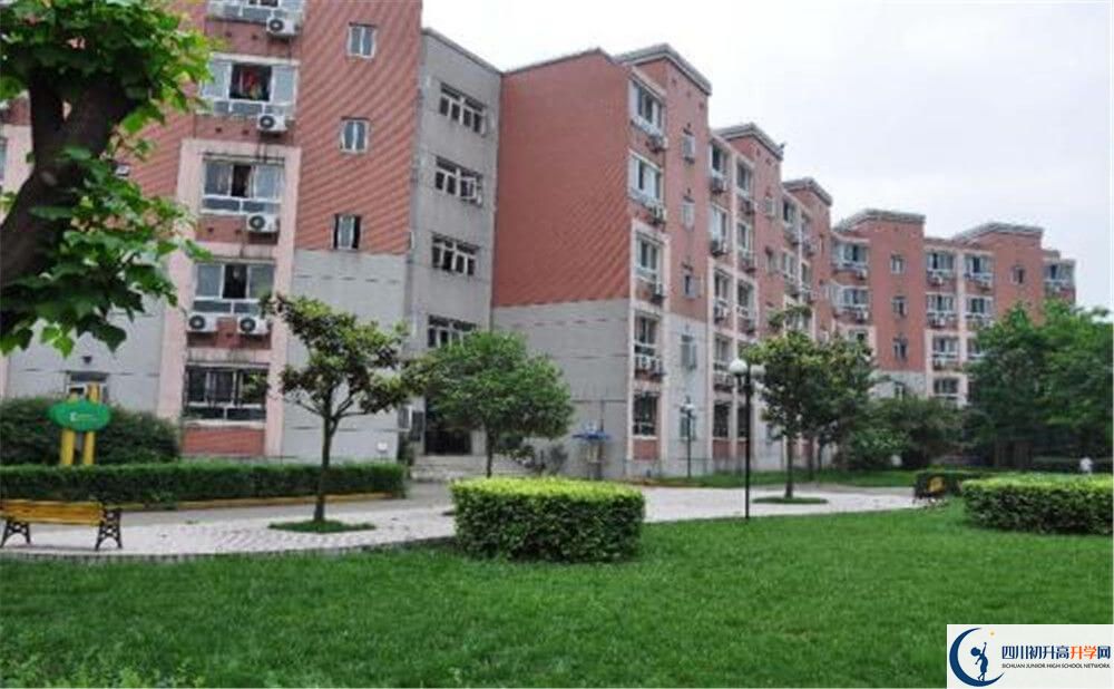 樹(shù)德博瑞實(shí)驗(yàn)學(xué)校的老師好不好？