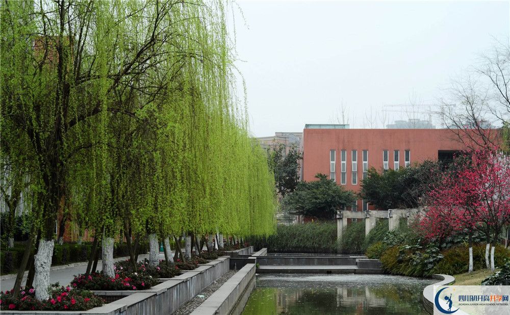 上香城中學(xué)的分?jǐn)?shù)線是多少？