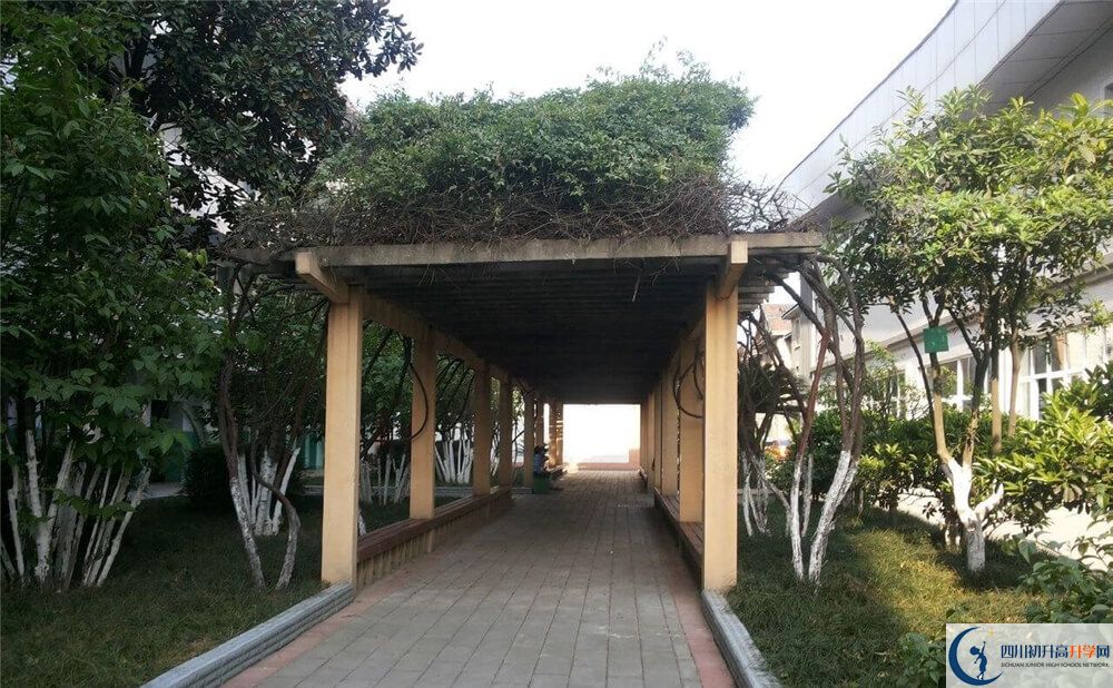 通錦中學(xué)高中歷年來的分?jǐn)?shù)線是多少分？