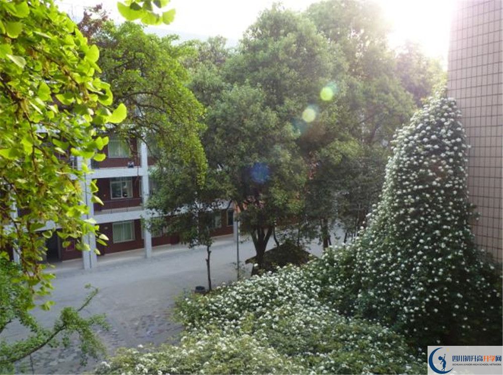 四川師范大學(xué)實(shí)驗(yàn)外國語學(xué)校2020年錄取條件是什么？