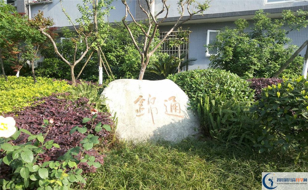 通錦中學(xué)高一多久放一次假？
