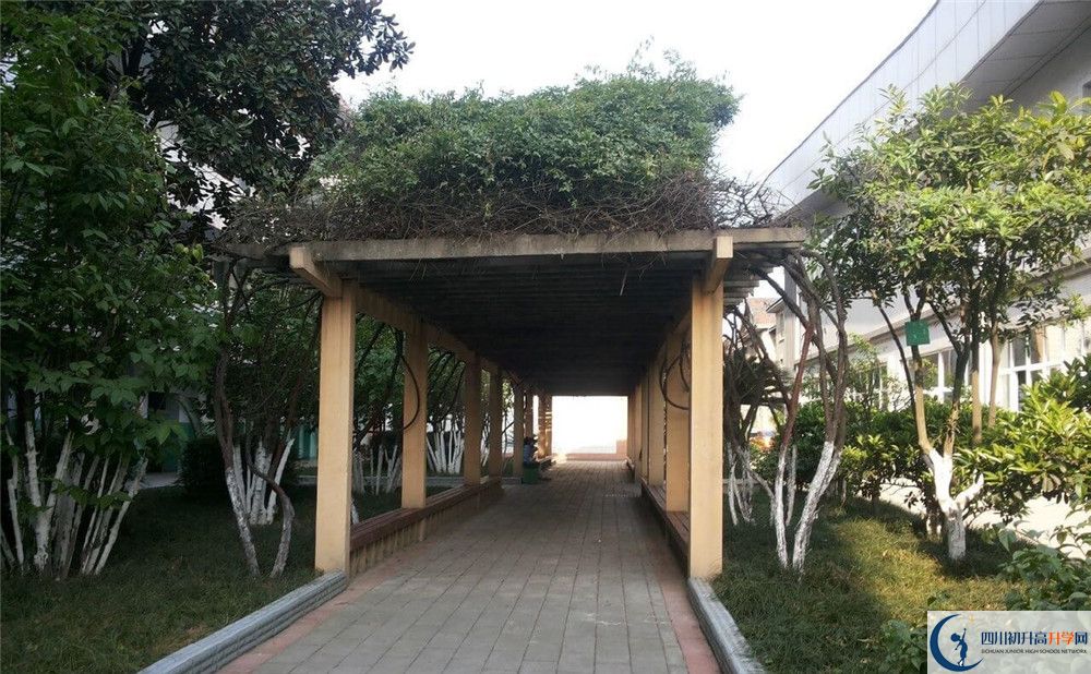 通錦中學2020年清華北大錄取學生有多少？