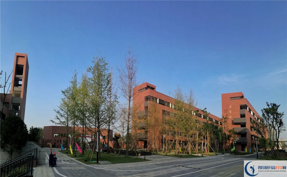 電子科技大學實驗中學高一多久放一次假？