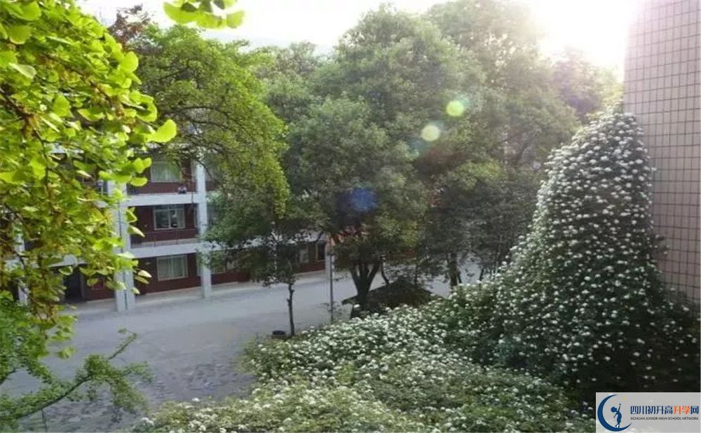 成都市石室聯(lián)中蜀華分校2020年保送清華北大的人數(shù)是多少？