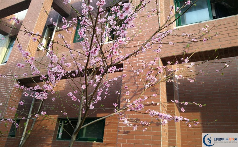 都江堰育才學校自主招生條件是什么？