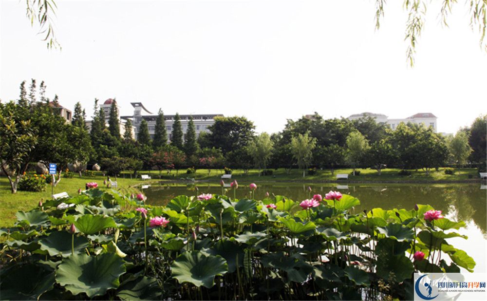 2020四川師范大學(xué)實驗外國語學(xué)校高中分班考試是好久？