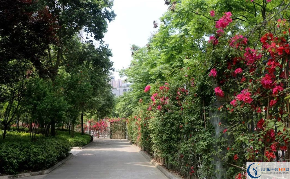 成都市第三中學(xué)平行班與實驗班差多少？