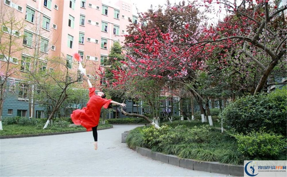 簡陽中學2020年保送清華北大的人數是多少？