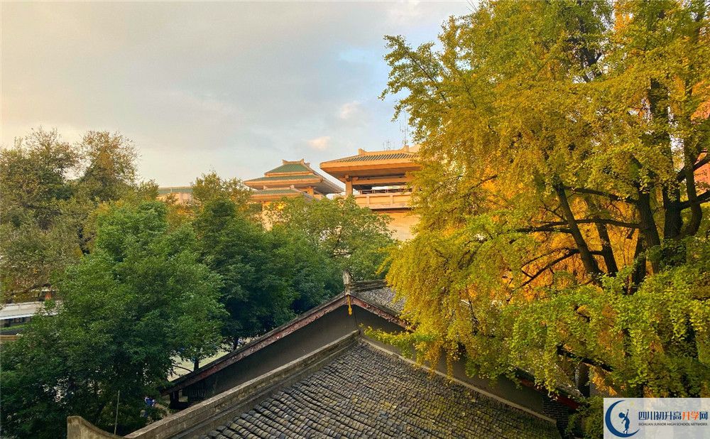 成都石室中學(xué)位置在哪里？
