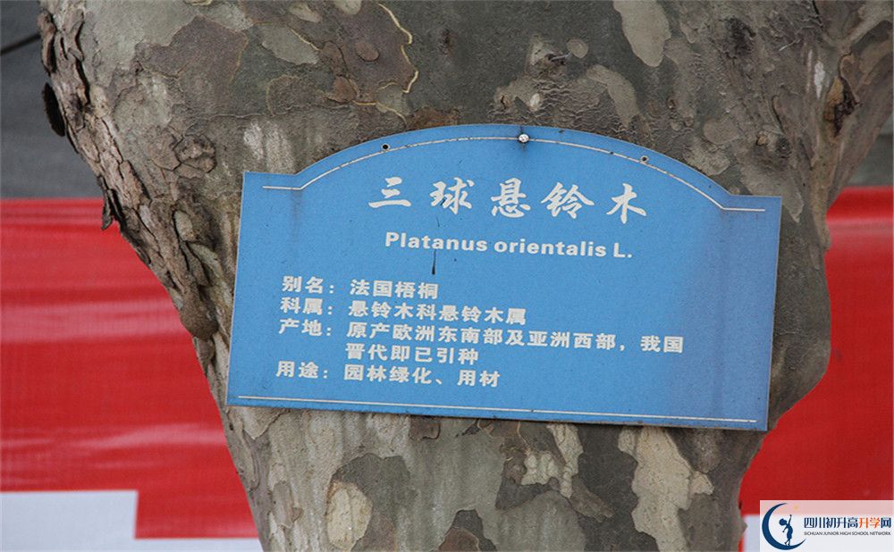 2020成都市第四十九中學(xué)高考重點(diǎn)大學(xué)升學(xué)率高嗎？