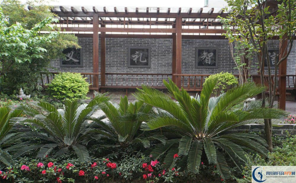 2020成都八中高考重點大學(xué)升學(xué)率是多少？