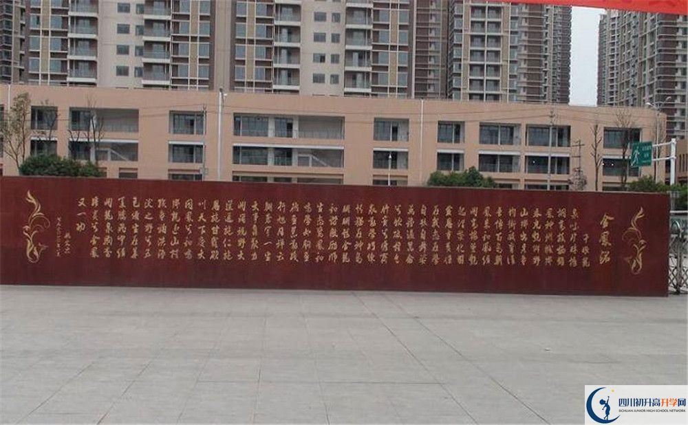 成都經(jīng)濟技術開發(fā)區(qū)實驗中學2020年全國排名是多少？