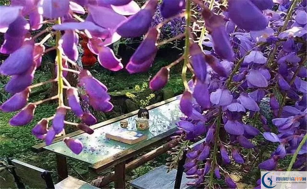 郫縣三中平行班與實(shí)驗班差多少？
