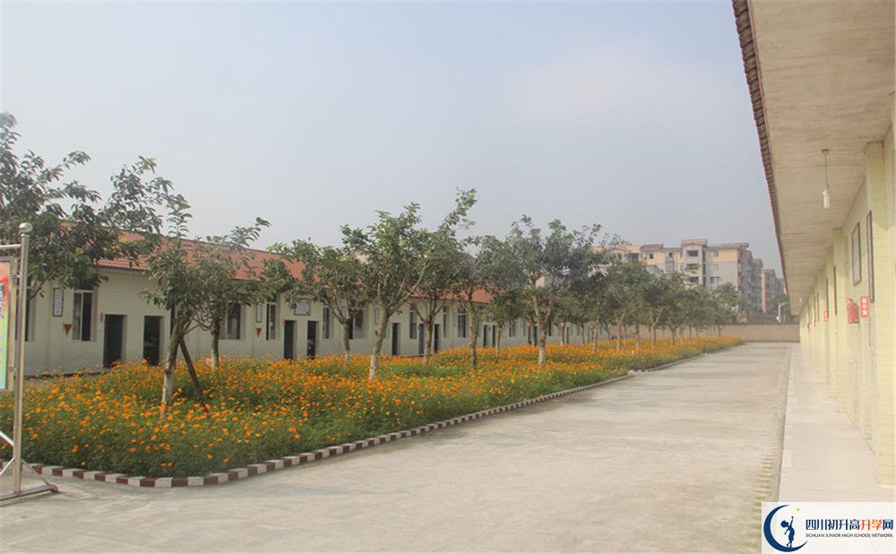 強(qiáng)項(xiàng)實(shí)驗(yàn)中學(xué)在全國高中排名多少？