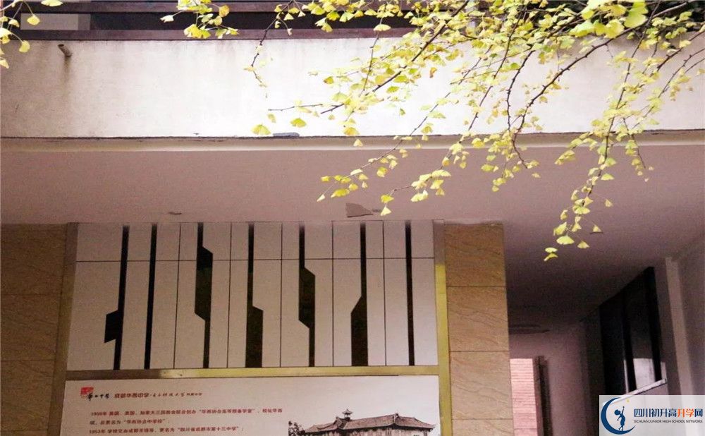 2020四川師范大學(xué)附屬第三實驗中學(xué)初升高分班考試題難嗎？