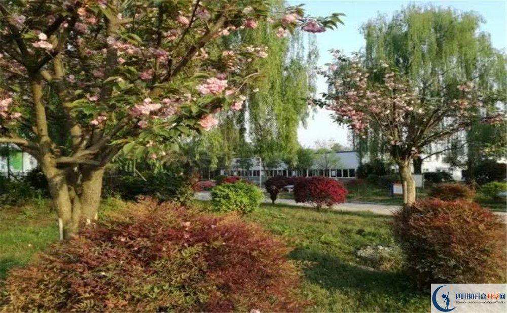 四川師范大學(xué)附屬第三實驗中學(xué)實驗班人數(shù)是多少？