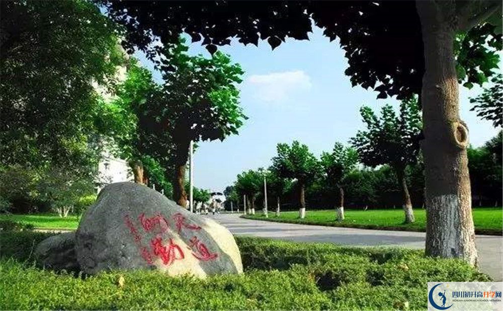 成都樹德中學(xué)補(bǔ)課嗎？