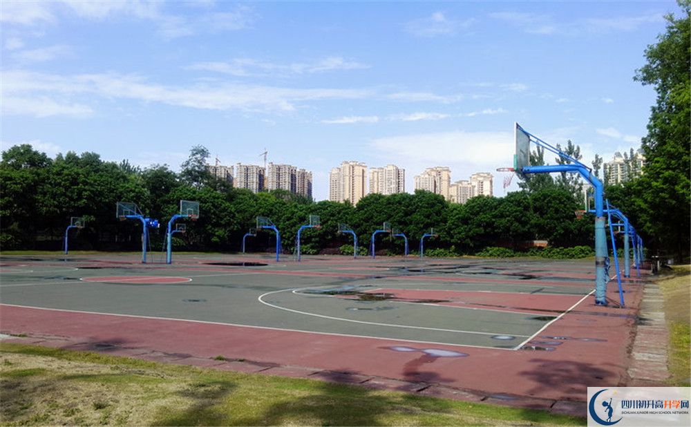 成都實(shí)驗(yàn)外國(guó)語(yǔ)學(xué)校（西區(qū)）補(bǔ)課嗎？