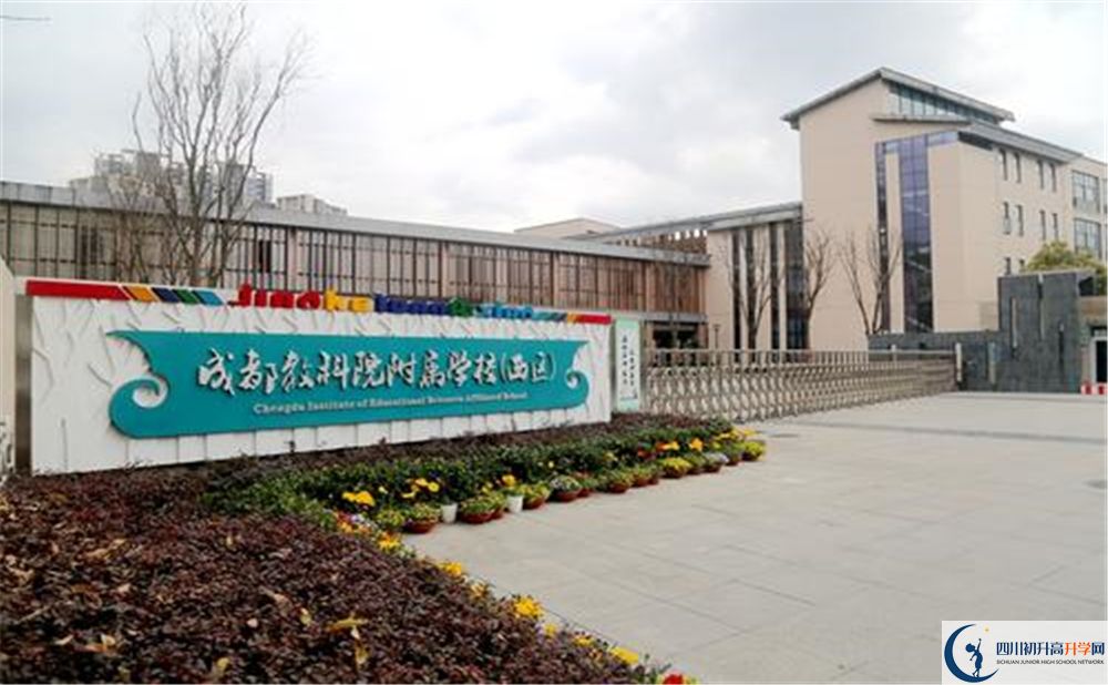 成都教科院附屬學(xué)校2020年高考人數(shù)是多少？