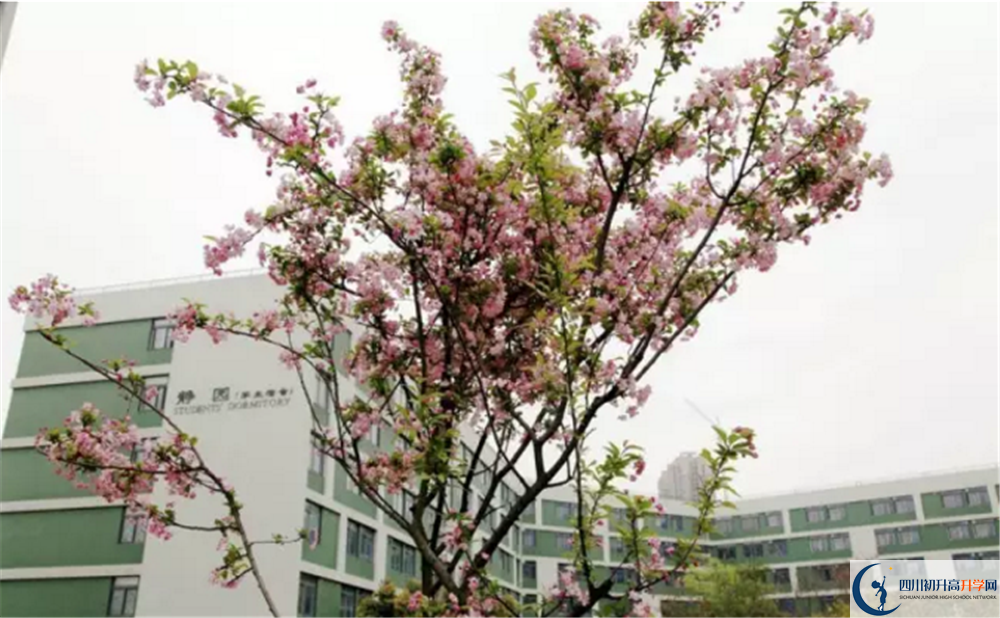 四川省綿陽(yáng)外國(guó)語(yǔ)學(xué)校2020年開(kāi)學(xué)時(shí)間安排是怎么樣的？