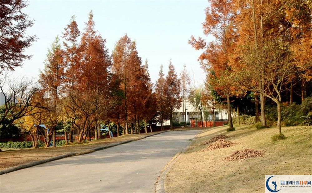 2020年成都實(shí)驗(yàn)外國(guó)語(yǔ)學(xué)校西區(qū)住宿條件怎么樣？